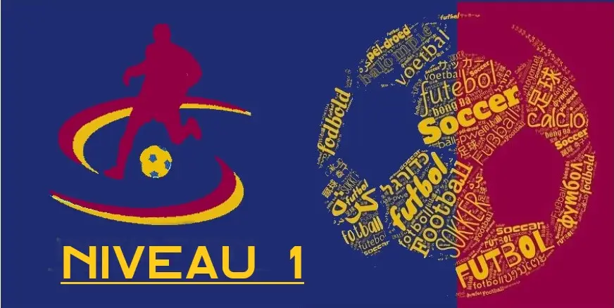 Certification Niveau 1 - Philosophie Total Football