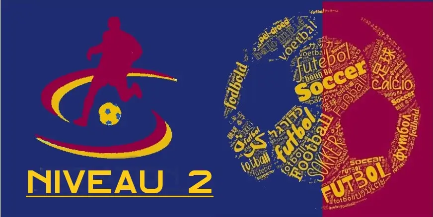 Certification Niveau 1 - Philosophie Total Football