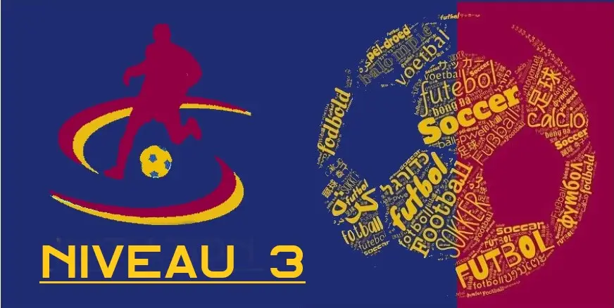 Certification Niveau 1 - Philosophie Total Football